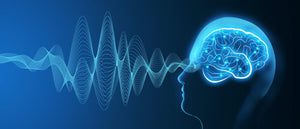 What is a qEEG or commonly named Brain Mapping? by Neuro Training Strategies